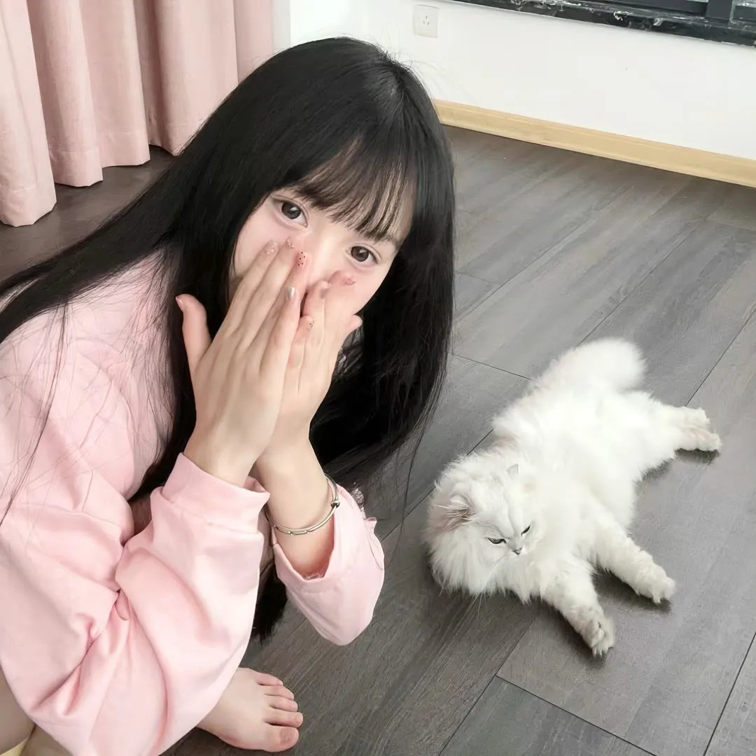 家有囍事